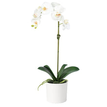 Load image into Gallery viewer, White artificial orchid plant in white vase - 20" Vivian Rose Shop