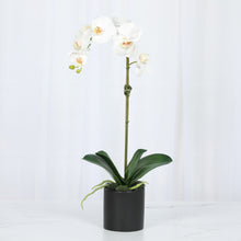 Load image into Gallery viewer, Faux orchid plant for living room decor, white blooms in vase_Vivian Rose Shop