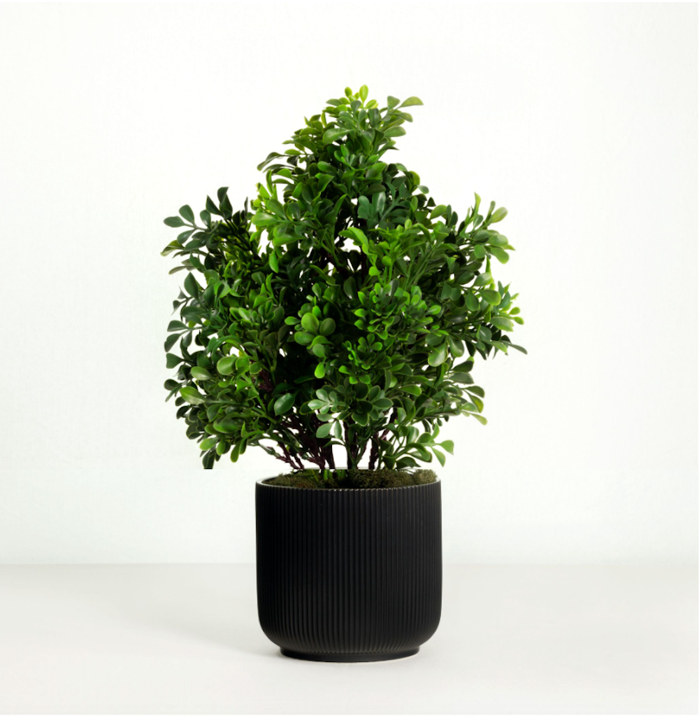small faux plant in black pot Artificial boxwood plant in black pot