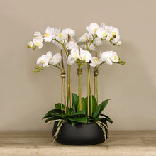 Load image into Gallery viewer, silk orchid flower arrangement and centerpiece-dining room floral arrangement