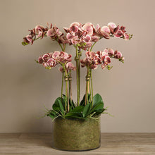 Load image into Gallery viewer, Artificial orchids in glass vase - large silk orchid centerpiece