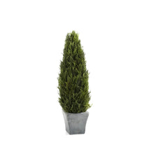 Load image into Gallery viewer, preserved cypress tree topiary in gray terracotta pot - 15.75", vivian rose