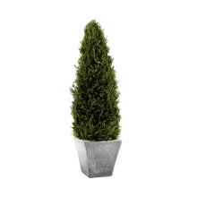 Load image into Gallery viewer, preserved cypress tree topiary in gray terracotta pot - 23.5"