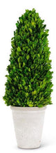 Load image into Gallery viewer, Preserved boxwood cone topiary tree in white planter - Vivian Rose - Wayfair