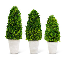 Load image into Gallery viewer, Set of 3 Preserved Boxwood Cone Topiary Trees in White Pots - Vivian Rose - vivian-rose.shop