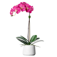 Load image into Gallery viewer, silk orchid plant - pink orchid arrangement - faux floral arrangement