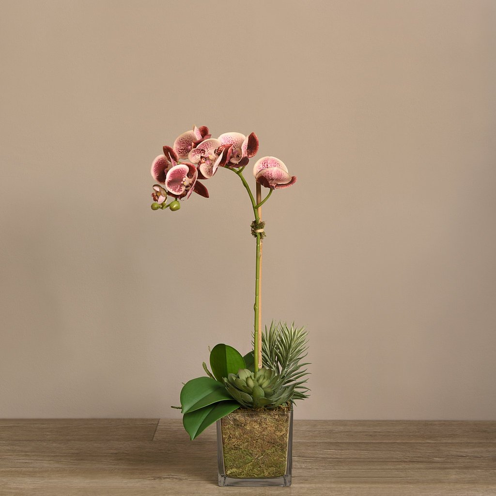 Silk orchid plant single stem orchid arrangement in square glass vase
