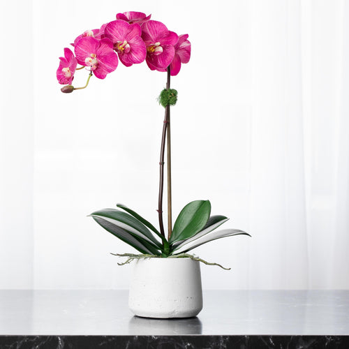 pink orchid plant artificial orchid plant in white vase