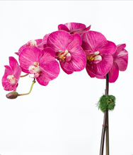 Load image into Gallery viewer, Pink orchid plant faux orchid plant silk orchid arrangement luxury home decor