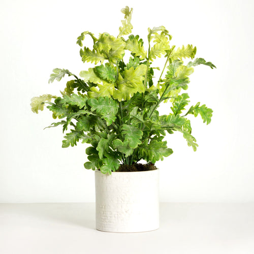 real touch artificial plant in white pot