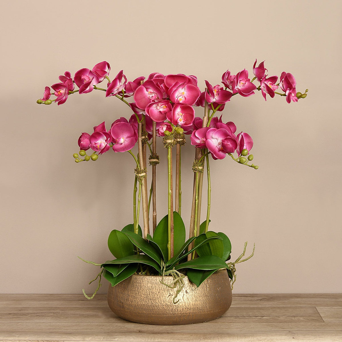 Orchid Floral Arrangement in Planter Primrue Flowers/Leaves Color: Purple