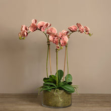Load image into Gallery viewer, faux orchid arrangement in glass vase
