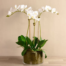 Load image into Gallery viewer, silk floral arrangement - faux orchid centerpiece - white orchid arrangement