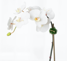 Load image into Gallery viewer, faux orchid plant, white orchid plant, fake orchid plant, silk orchid plant, indoor house plant, silk flower arrangement, faux orchid arrangement, single stem orchid plant for luxury home decor, bathroom decor, foyer orchid arrangement