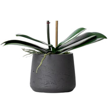 Load image into Gallery viewer, faux orchid plant, white orchid plant, fake orchid plant, silk orchid plant, indoor house plant, silk flower arrangement, faux orchid arrangement, single stem orchid plant for luxury home decor, bathroom decor, foyer orchid arrangement