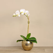 Load image into Gallery viewer, white orchid in gold pot_artificial flora