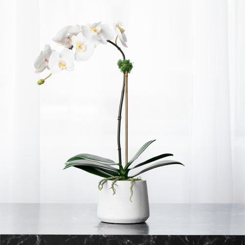 Faux Orchid Plant Real Touch Orchid Arrangement Artificial Orchid Plant Silk Flower Arrangement for Luxury Home Decor