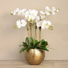Load image into Gallery viewer, white orchid centerpiece in gold pot