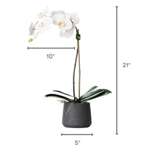 Load image into Gallery viewer, faux orchid plant, white orchid plant, fake orchid plant, silk orchid plant, indoor house plant, silk flower arrangement, faux orchid arrangement, single stem orchid plant for luxury home decor, bathroom decor, foyer orchid arrangement