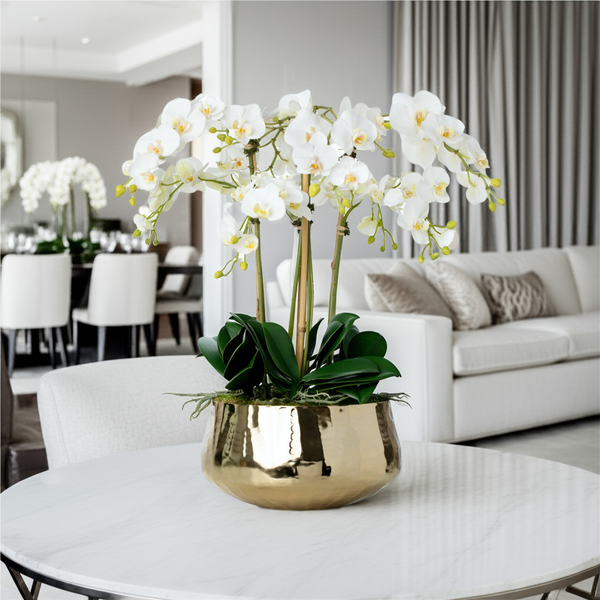 Best Placement for Orchid Centerpieces in Your Home