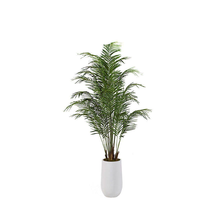 areca palm in planter D&W Silks 8-feet Areca Palm in Tall Round Resin Planter