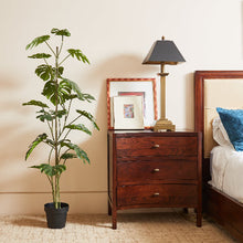 Load image into Gallery viewer, 5' Artificial Monstera Tree CG Hunter
