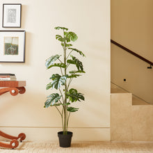 Load image into Gallery viewer, 5' Artificial Monstera Tree CG Hunter
