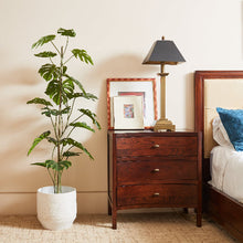 Load image into Gallery viewer, 5' Artificial Monstera Tree CG Hunter
