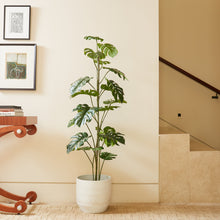Load image into Gallery viewer, 5' Artificial Monstera Tree CG Hunter

