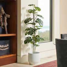 Load image into Gallery viewer, 5' Artificial Monstera Tree CG Hunter
