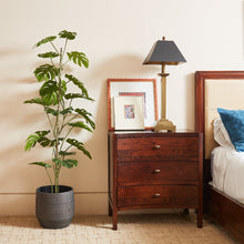 Load image into Gallery viewer, 5' Artificial Monstera Tree CG Hunter
