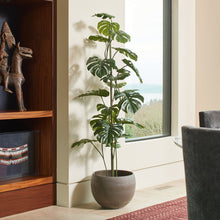 Load image into Gallery viewer, 5' Artificial Monstera Tree CG Hunter
