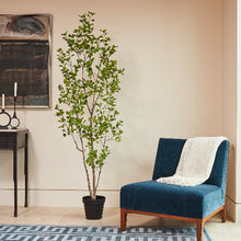 Load image into Gallery viewer, 7' Artificial Heart Ficus Tree CG Hunter
