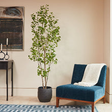 Load image into Gallery viewer, 7' Artificial Heart Ficus Tree CG Hunter
