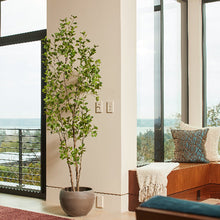 Load image into Gallery viewer, 7' Artificial Heart Ficus Tree CG Hunter
