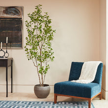 Load image into Gallery viewer, 7' Artificial Heart Ficus Tree CG Hunter
