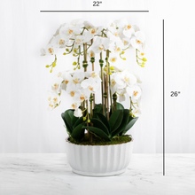 Load image into Gallery viewer, large orchid centerpiece arrangement white faux orchids in white vase
