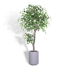 Load image into Gallery viewer, Artificial Ficus Tree with Artisan Planter
