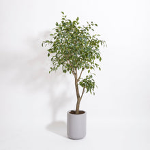 Load image into Gallery viewer, Artificial Ficus Tree with Artisan Planter
