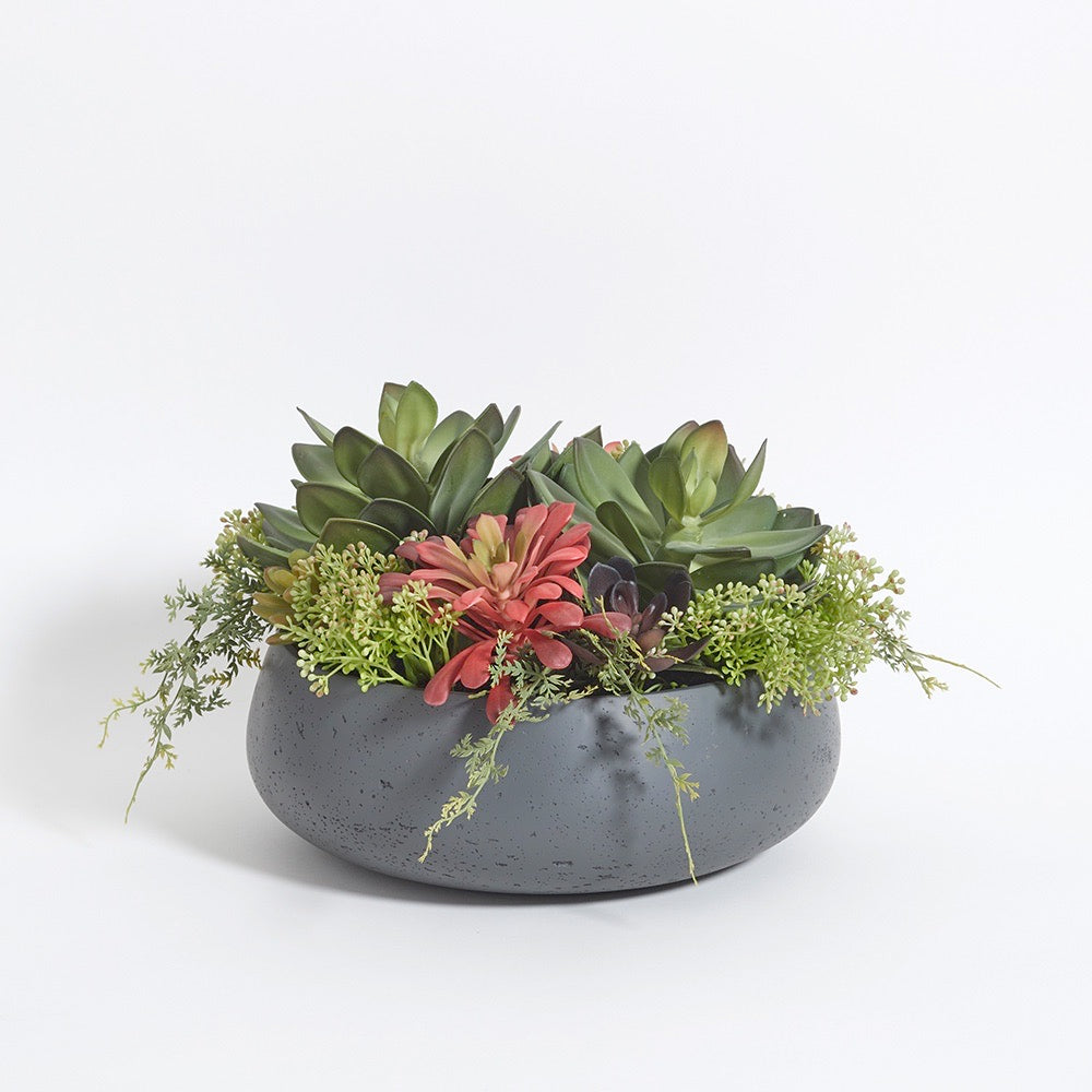 Round Succulent Arrangement – Gray Planter
