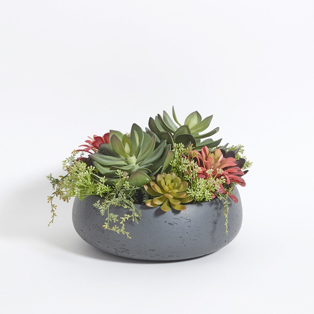 Round Succulent Arrangement  Gray Planter