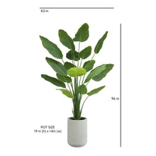 Load image into Gallery viewer, 8' Bird of Paradise Tree in Modern Gray Planter
