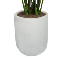Load image into Gallery viewer, 8' Bird of Paradise Tree in Modern Gray Planter
