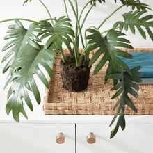 Load image into Gallery viewer, Split Leaf Plant Drop In 22.5" Napa Home &amp; Garden
