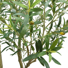 Load image into Gallery viewer, Close up of tall faux olive tree
