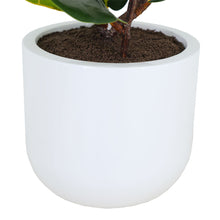 Load image into Gallery viewer, 3' Faux Potted Fiddle Leaf Fig Tree CG Hunter
