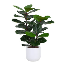 Load image into Gallery viewer, 3' Faux Potted Fiddle Leaf Fig Tree CG Hunter
