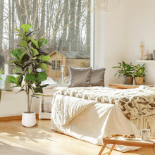 Load image into Gallery viewer, Artificial Fiddle Leaf Tree 5ft AM
