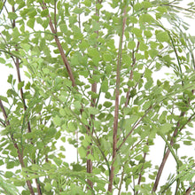 Load image into Gallery viewer, Faux Maidenhair Fern CG Hunter
