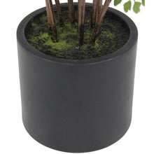 Load image into Gallery viewer, Faux Maidenhair Fern CG Hunter
